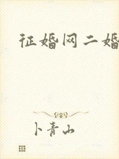 征婚网二婚