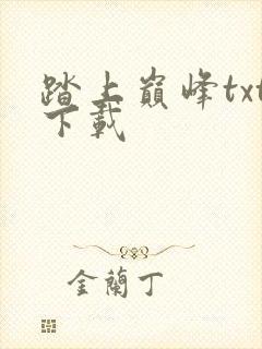 踏上巅峰txt下载