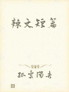 辣文短篇