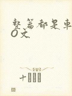 整篇都是车的PO文