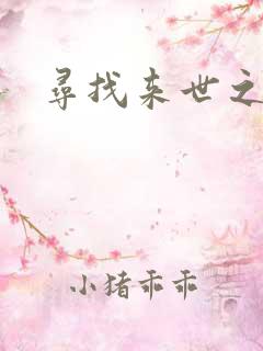 寻找来世之夫