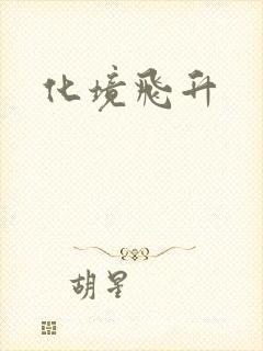 化境飞升