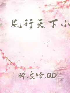 风行天下小说