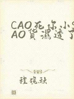 CAO死你小SAO货湿透了学长