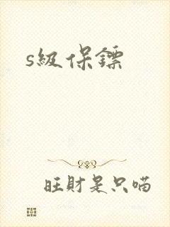 s级保镖