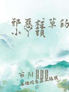 邪恶校草的拽拽小丫头