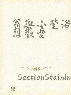 翁与小莹浴室激烈欢爱