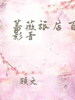 蔷薇旅店 百度影音