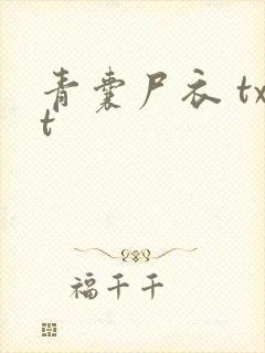青囊尸衣 txt
