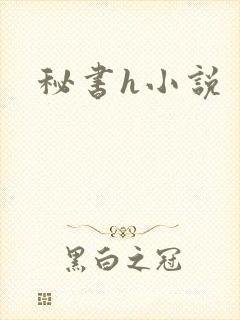 秘书h小说
