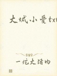 大城小爱txt