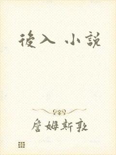 后入 小说