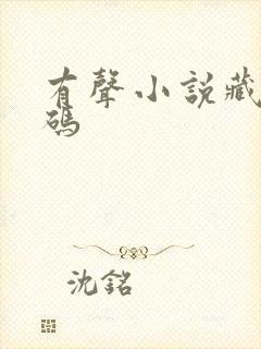 有声小说藏地密码