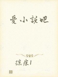爱小说吧