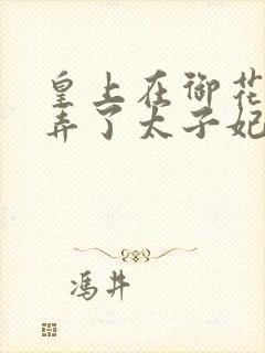 皇上在御花园c弄了太子妃