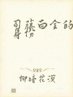 司藤白金的真实身份