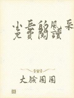 小兵的风采小说免费阅读