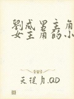 刘成男主角刘雪女主角的小说