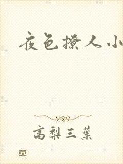 夜色撩人小说