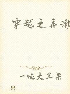 穿越之弄潮者