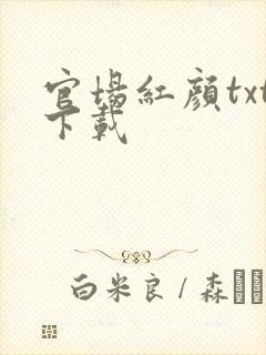 官场红颜txt下载