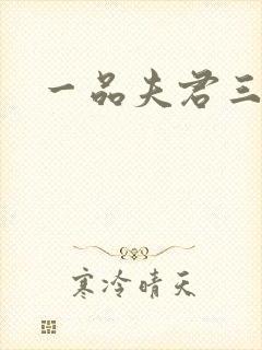 一品夫君三流妻