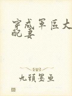 穿成军区大佬女配妻