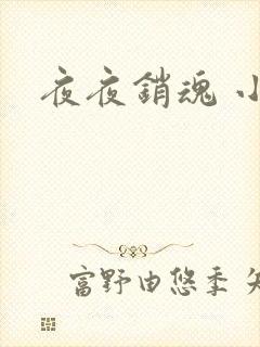 夜夜销魂 小说