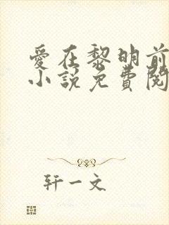 爱在黎明前降落小说免费阅读