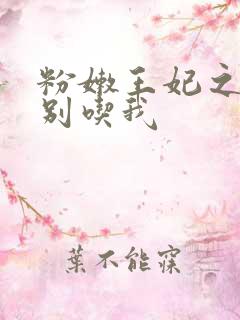 粉嫩王妃之殿下别吃我