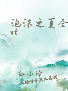 泡沫之夏全集txt