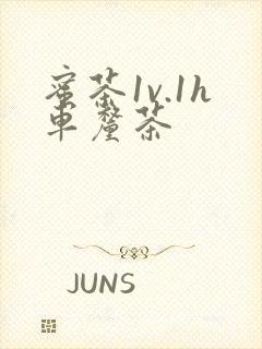 蜜茶1v.1h车厘茶