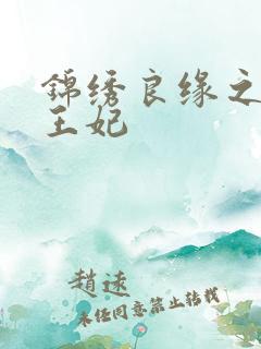 锦绣良缘之北地王妃