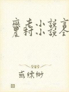 恋老小说言情网农村小说全文阅读