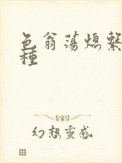 色翁荡熄系列借种