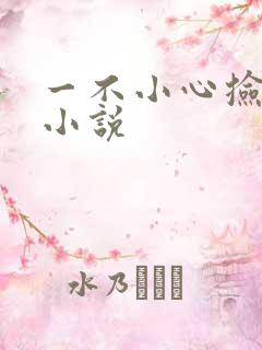 一不小心捡到爱小说