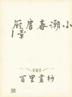 厨房春潮小说第1章