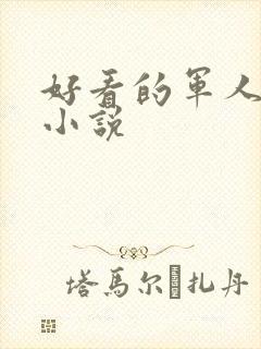 好看的军人高干小说