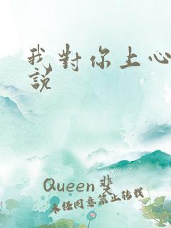 我对你上心了小说