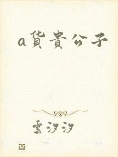 a货贵公子