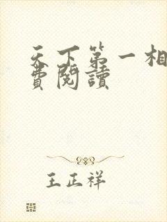 天下第一相书免费阅读