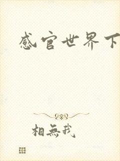 感官世界下载