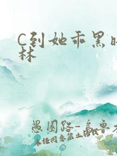 C到她乖黑暗森林