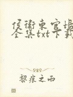 侯卫东官场笔记全集txt下载