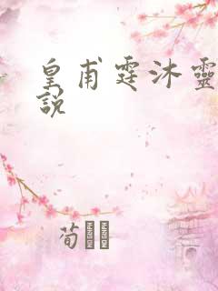 皇甫霆沐灵芸小说