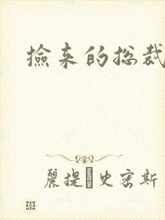 捡来的总裁儿子