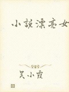 小说漂亮女局长