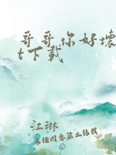 哥哥你好坏txt下载