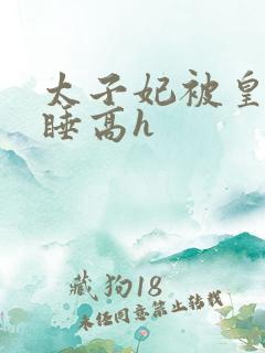 太子妃被皇上强睡高h