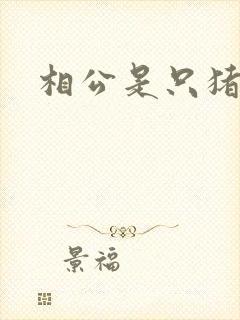 相公是只猪